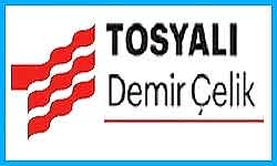 Tosyalc-Demir-Aelik.jpg